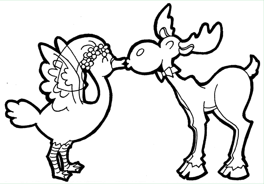 1024x713 Have You Ever Seen A Moose Kissing A Goose By Avidartist1836