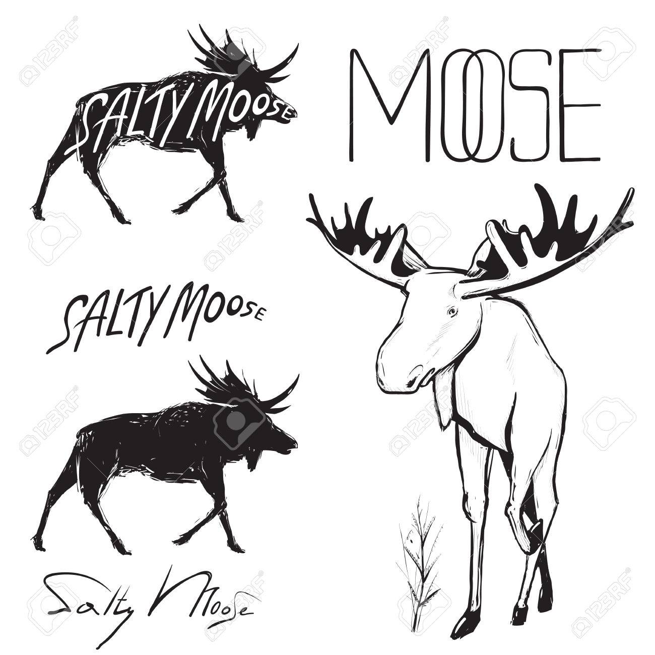 1300x1300 Moose And Lettering Monochrome Illustration. Elk Black Sketchy