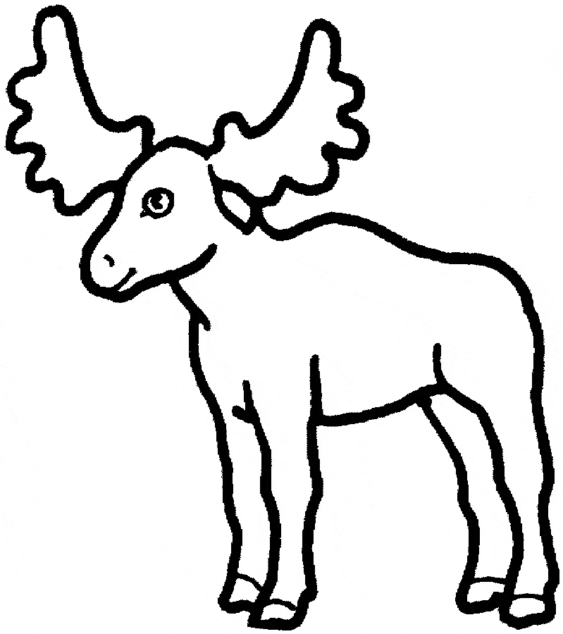 799x900 Moose Coloring Page