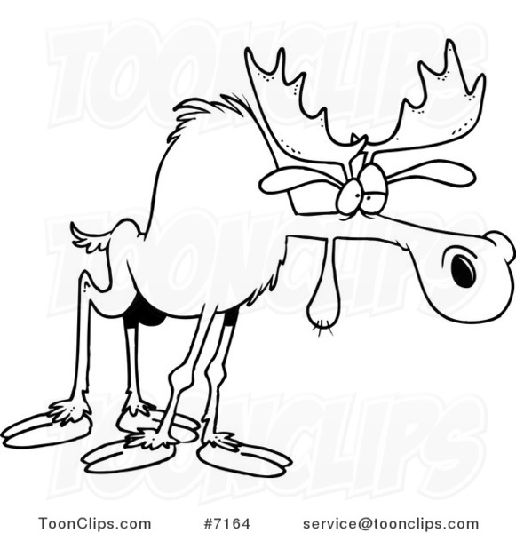 581x600 Cartoon Black And White Line Drawing Of A Tired Moose