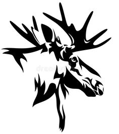 236x267 Moose pencil drawings Hand Sketched Drawing Illustration