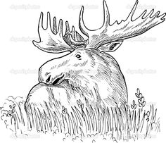 236x203 Rabbit Moose Buns, Rabbit And Zen