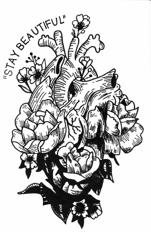 488x750 Moose Drawing Tumblr