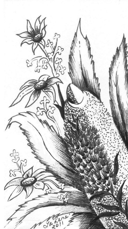 539x960 61 Best Illustrations Images On Drawings, Art Designs