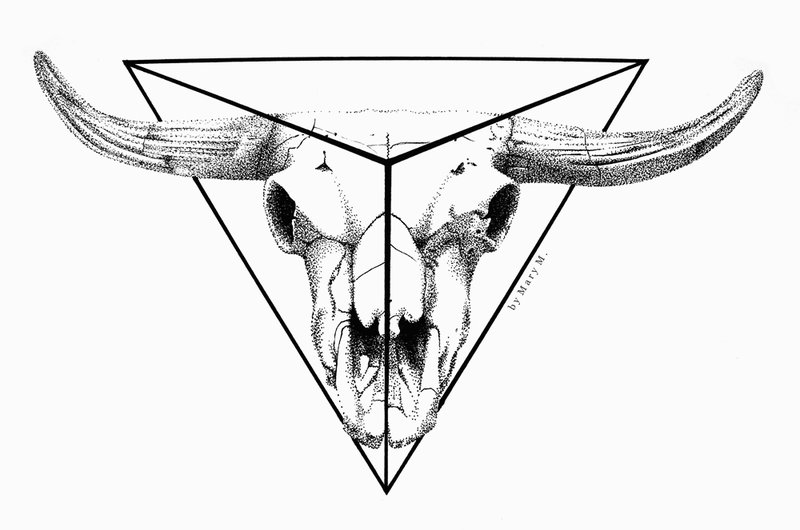 800x530 Deer Skull Drawing Tumblr
