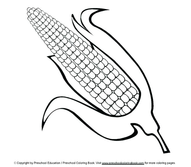 660x577 Eel Coloring Pages