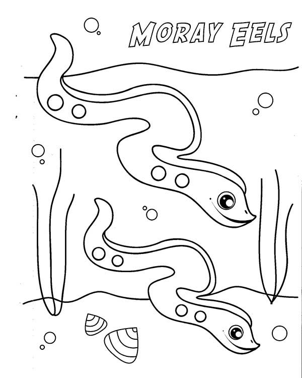 600x750 Cute Moray Eel Coloring Page Color Luna