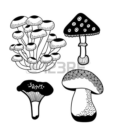 387x450 Black Morel Stock Photos. Royalty Free Business Images