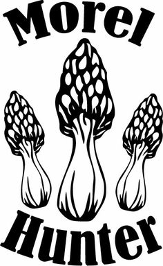 236x384 Morel Mushroom Wall Decal