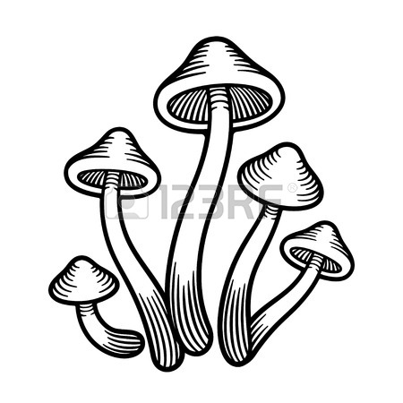 450x450 323 Hand Drawn Fungi Stock Vector Illustration And Royalty Free