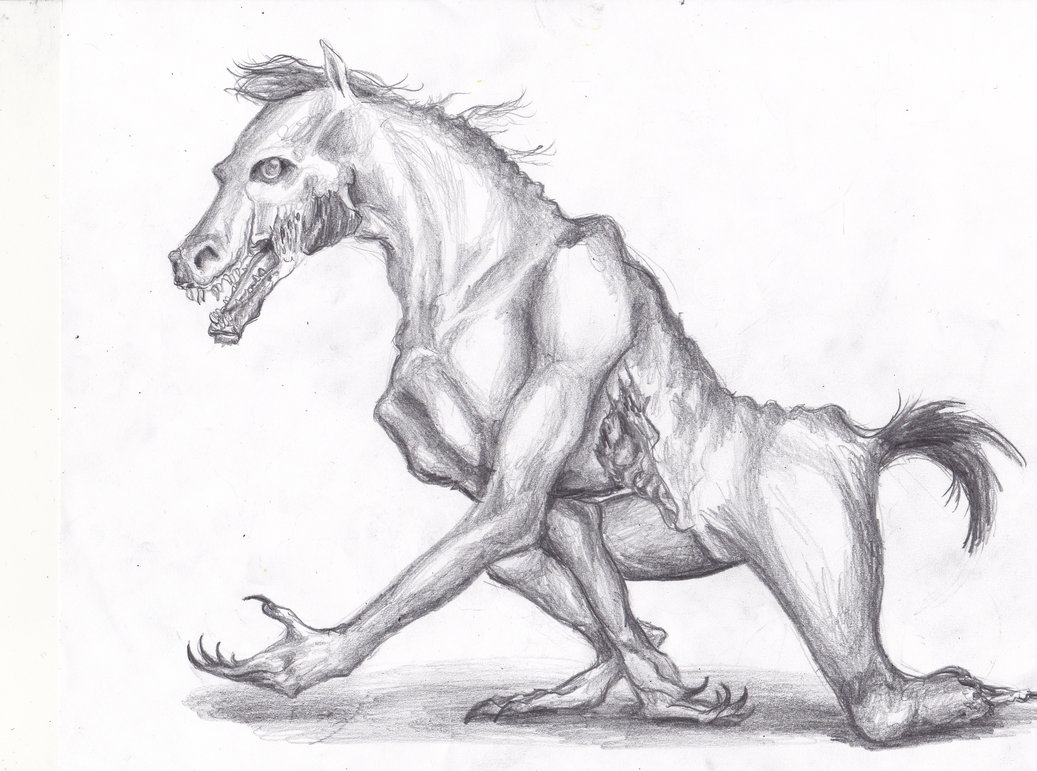 1037x771 Beggar By Morgan96k