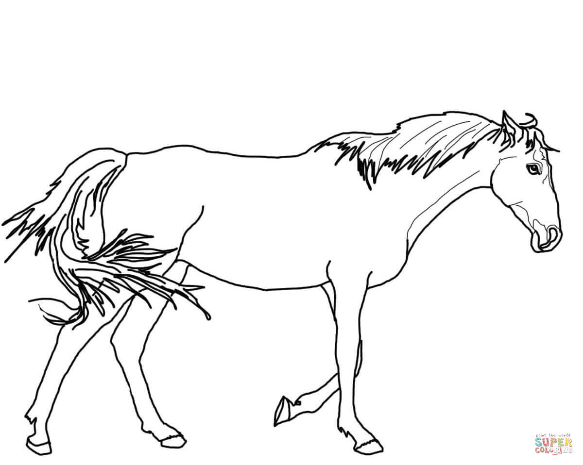1200x958 Walking Thoroughbred Horse Coloring Page Free Printable Coloring