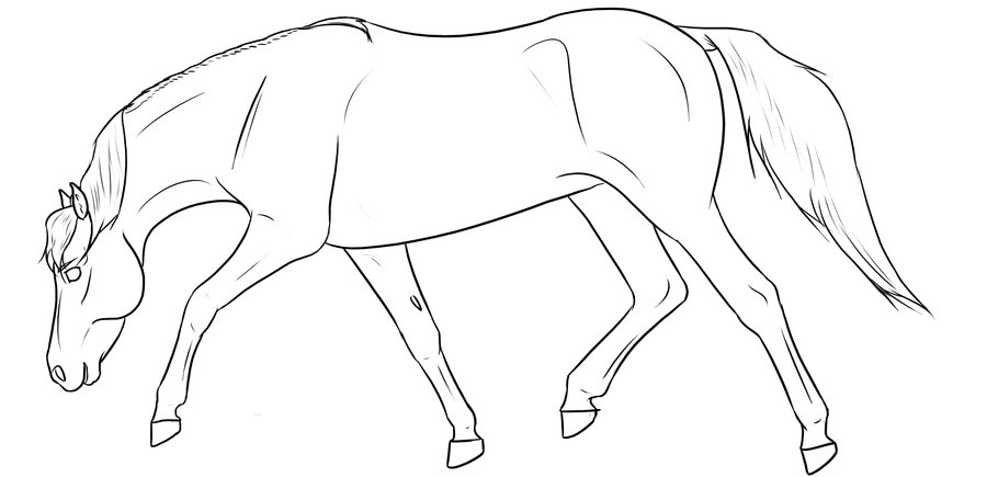 900x435 Free Lineart