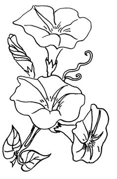 236x360 Black, Outline, Drawing, Flower, White, Flowers, Free Drawing