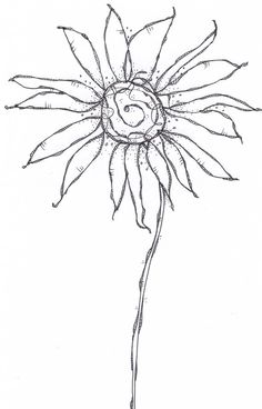 236x368 Black And White Line Drawing Of A Morning Glory Flower