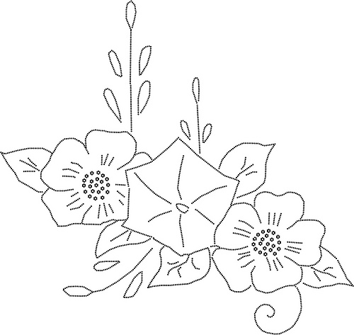 500x473 Clipart Illustrator Numotype Sheet 5 Morning Glory