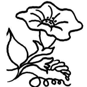 293x293 Purple Daisy Design B 97 Morning Glory