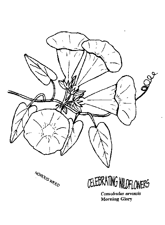 540x737 Umatilla National Forest Parents