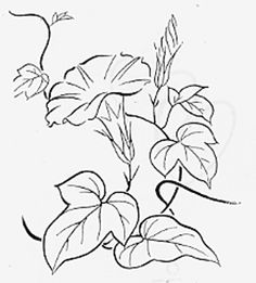 236x261 Vintage Embroidery Monday Morning Glory Border Part