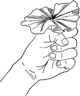 266x320 Tissue Paper Morning Glory Clipart Etc