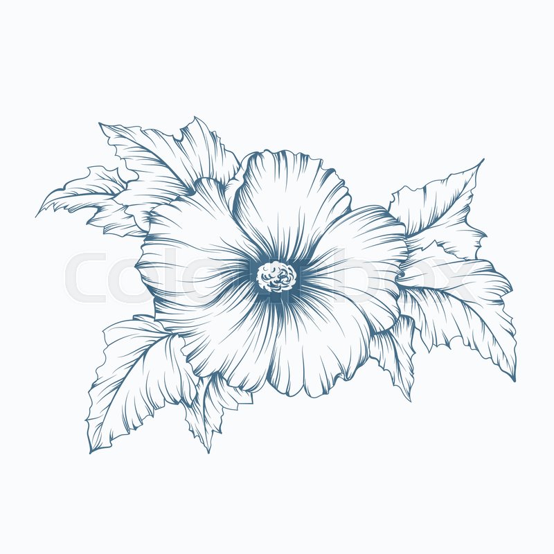 800x800 Art Tree Beautiful, Black Silhouette Stock Vector Colourbox