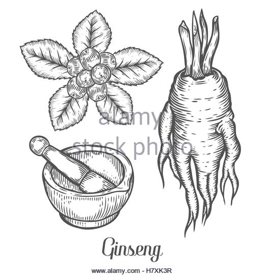 520x540 Mortar And Pestle Black And White Stock Photos Amp Images