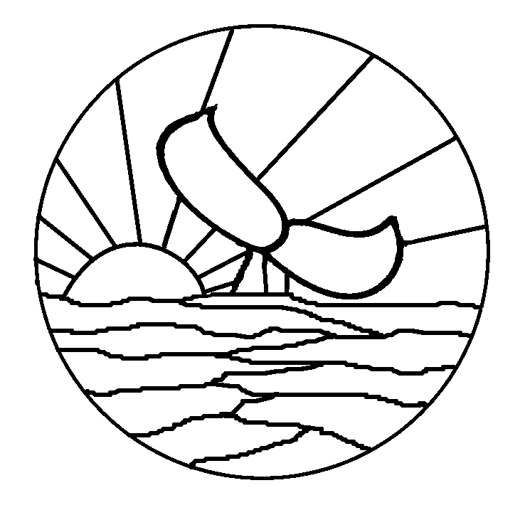 738x710 Killer Whale Drawings