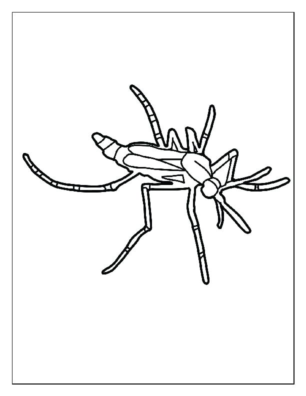 Mosquito Drawing at GetDrawings | Free download