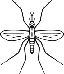 206x238 Mosquito Treatment Pgolid