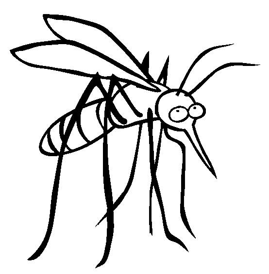 554x565 Mosquito Coloring Page