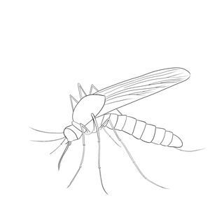 320x320 And Here It Is. My Firs Drawing On Pw. I Plan To Colour It In