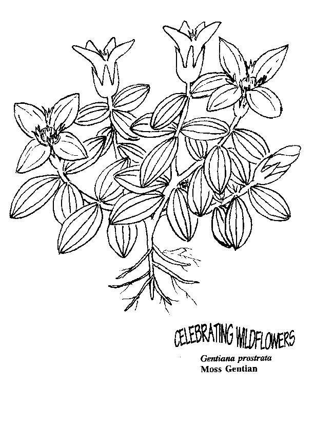 612x819 Umatilla National Forest Parents