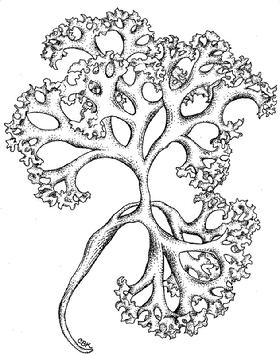 280x354 Field Amp Studio Productions, Ltd