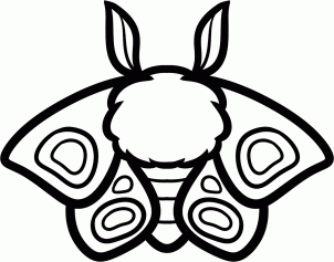 302x237 How To Draw How To Draw A Moth For Kids