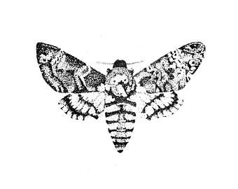 340x270 Moth Drawing Etsy