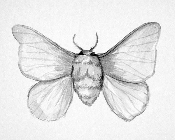 600x480 Field And Sky Drawing Amp Painting