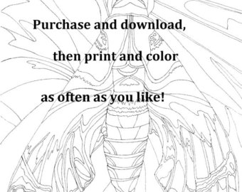 340x270 Line Drawing Moth Etsy