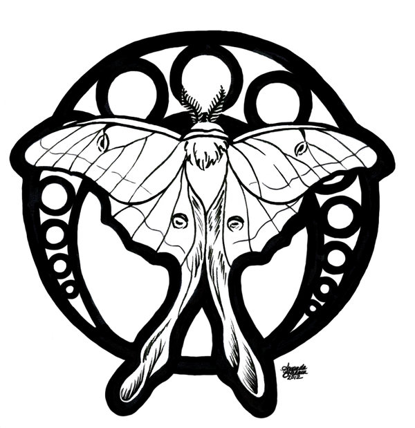 600x619 Luna Moth Nouveau By M Everham