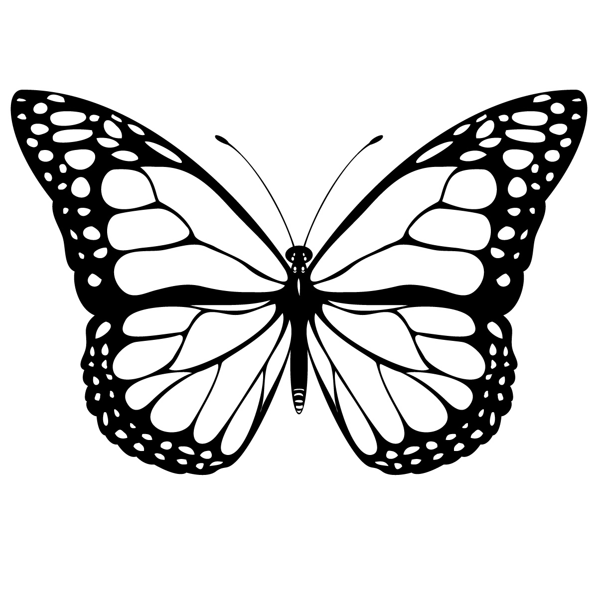 1200x1200 Book Winter Moth Clipart