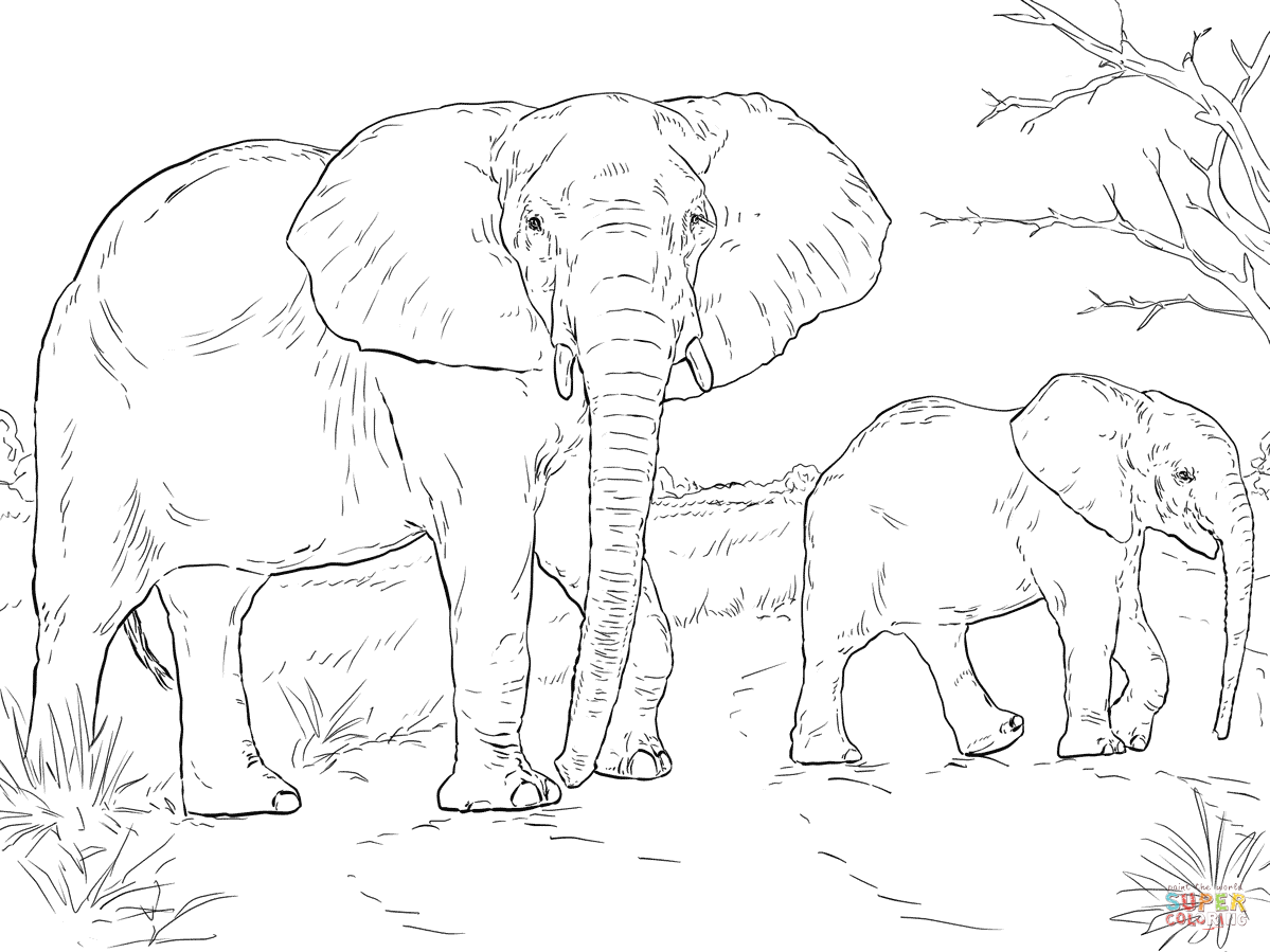 1199x899 African Elephant Mother And Baby Coloring Page Free Printable