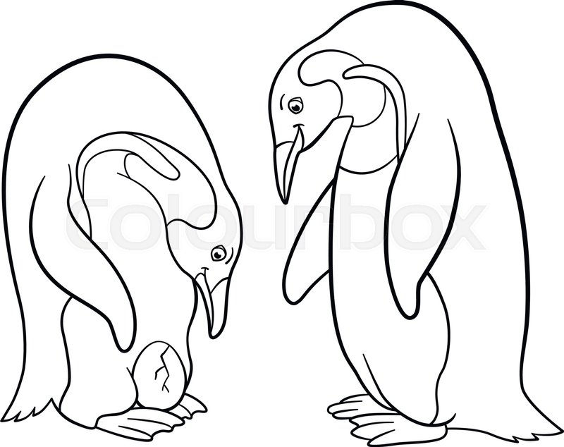 800x634 Coloring Pages. Mother And Father Penguin Looks