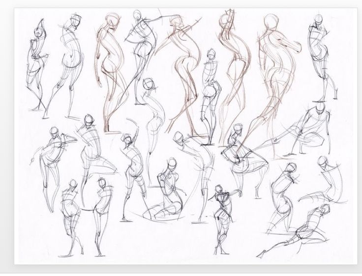 736x563 47 Best Motion Of Character Images On Animation Mentor