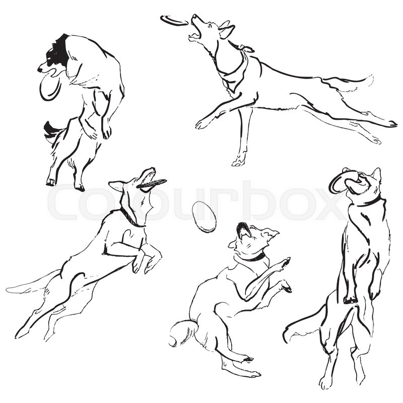 800x800 A Set Of Drawings Of Different Breeds Dogs In Motion. Games