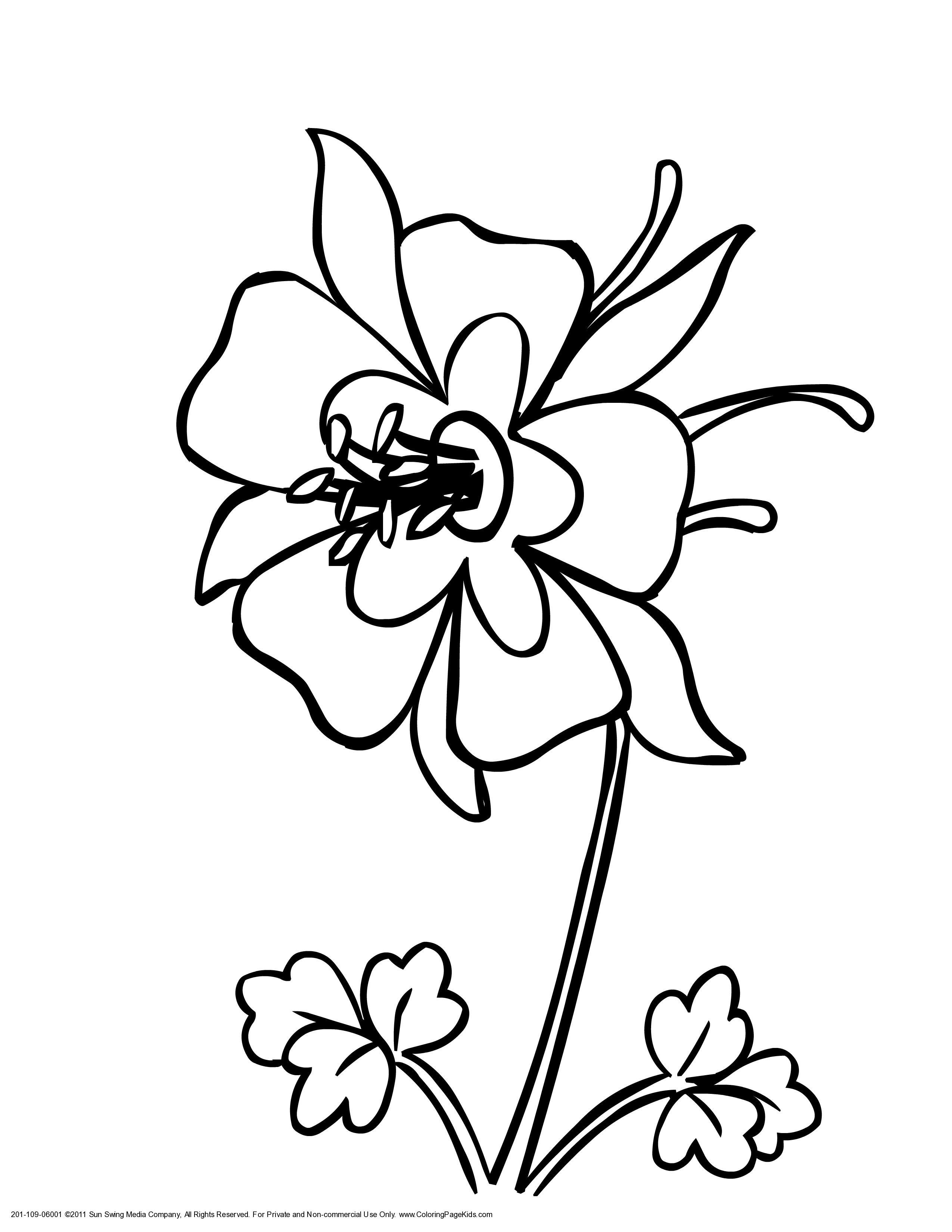 2550x3300 Colorado Kids Coloring Pages State Flower Print As Pdf! Print As