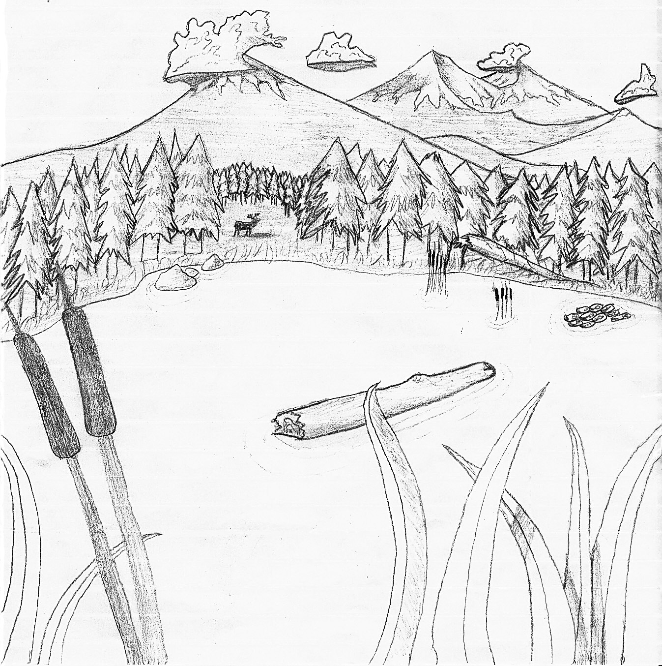 1347x1354 Mountain Drawing By Asilaydyingdl