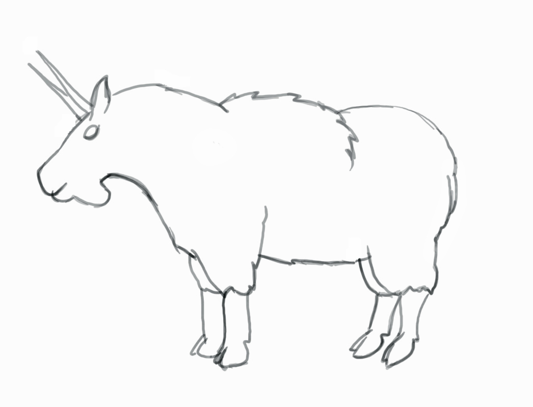 1046x798 Drawing Of A Goat How To Draw A Mountain Goat