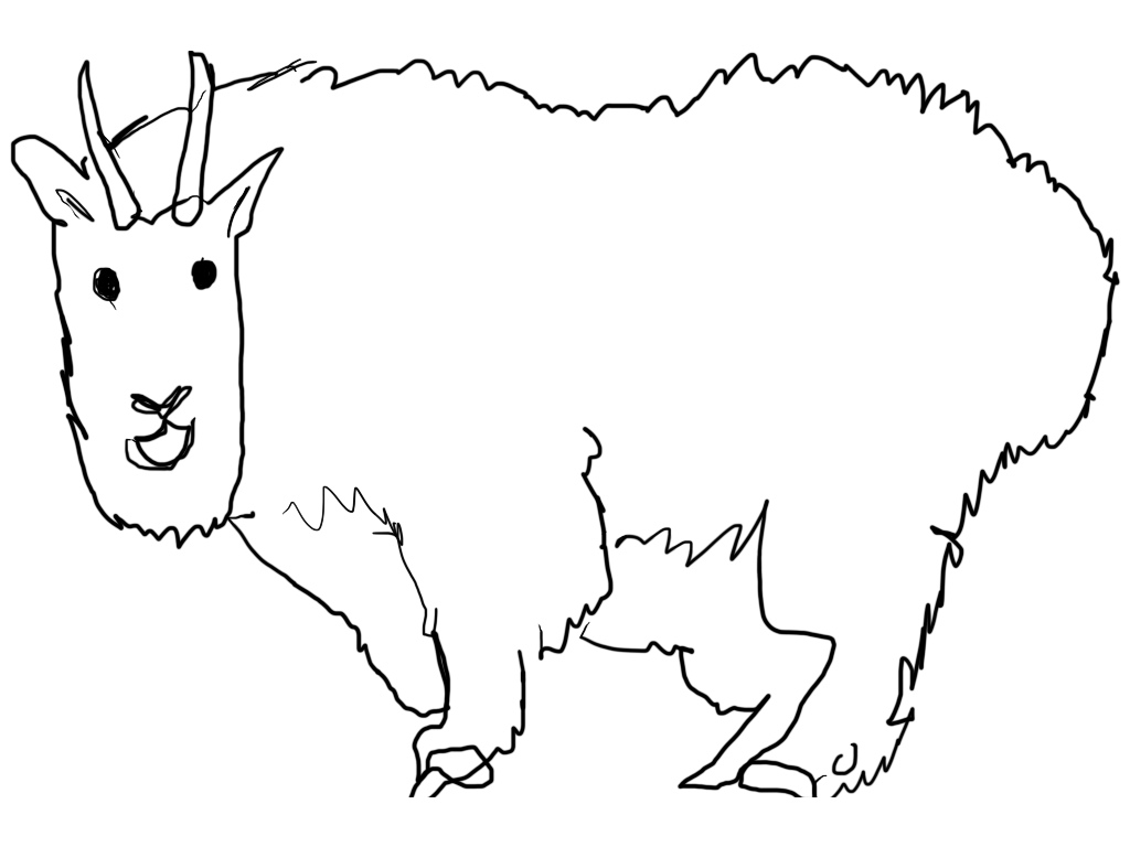 1024x768 Mountain Goat Face Drawing