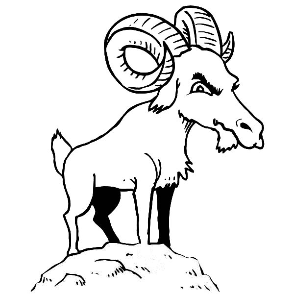 600x600 Mountain Goat Is Not Happy Coloring Pages Color Luna