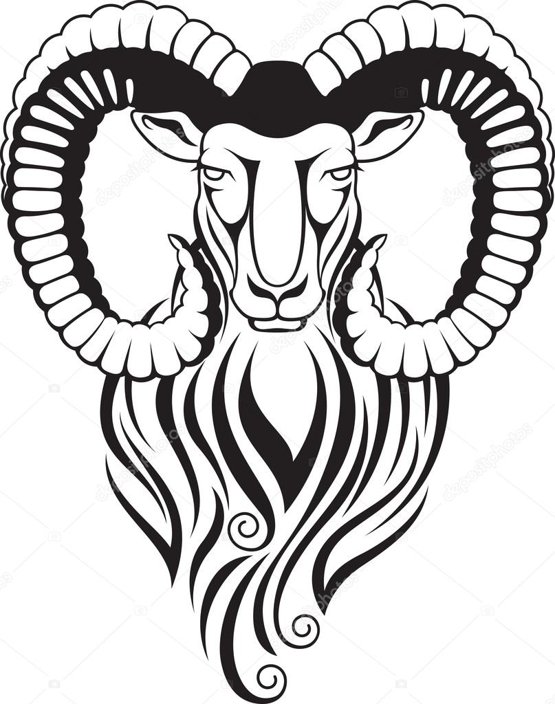 807x1024 Mountain Goat