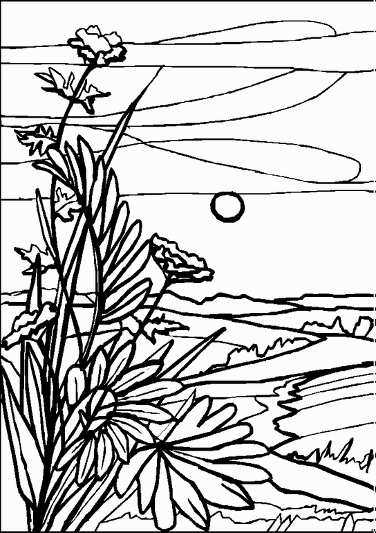 544x770 Landscape Coloring Pages For Adults